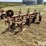 international-412-image-1