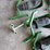 john-deere-1770-image-16