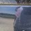 #24837-•-1999-oldsmobile-silhouette-van-image-82