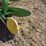 john-deere-pull-type-two-bottom-plow-image-22
