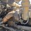 2006-kenworth-w900-image-41