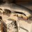 caterpillar-d2-image-32