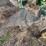john-deere-pull-type-two-bottom-plow-image-14
