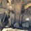 caterpillar-d2-image-26