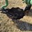 john-deere-three-point-three-bottom-plow-image-23