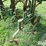 john-deere-825-image-16