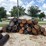 #25029-•-30--telephone-poles-image-8