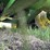 2000-john-deere-9400t-image-43