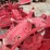 farmall-f-20-image-12