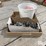 miscellaneous-clamps-image-2