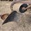 john-deere-two-bottom-plow-image-13