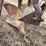 john-deere-pull-type-three-bottom-plow-image-13