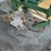 john-deere-three-point-four-bottom-plow-image-7