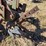 john-deere-three-point-two-bottom-plow-image-7