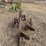 john-deere-pull-type-two-bottom-plow-image-4