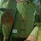 artsway-420-image-29