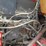 1995-kenworth-t600-image-22