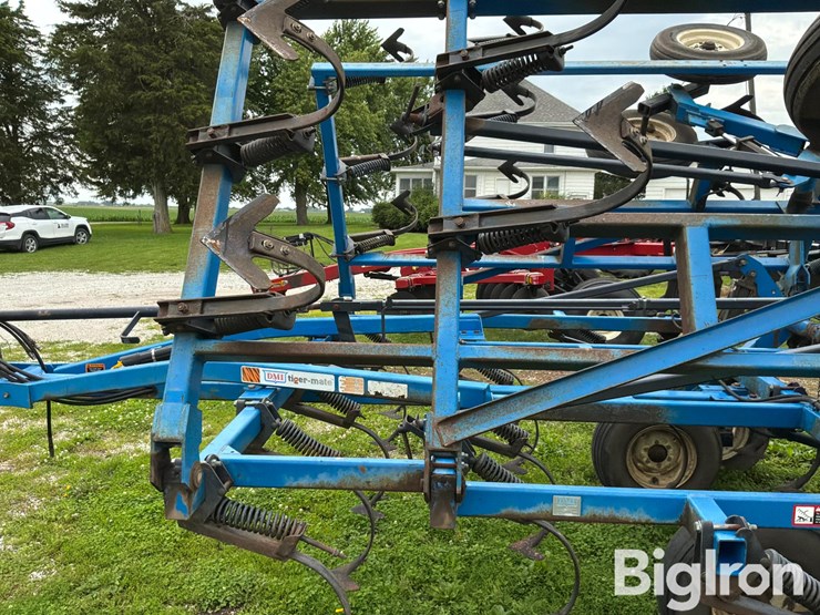 dmi-tiger-image-18