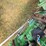 john-deere-2240-image-21