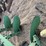 john-deere-three-point-three-bottom-plow-image-13