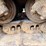 1992-caterpillar-d8n-image-60