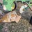 john-deere-pull-type-three-bottom-plow-image-14