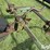 john-deere-6-image-12