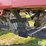 case-ih-3430-image-16