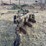 john-deere-pull-type-three-bottom-plow-image-4