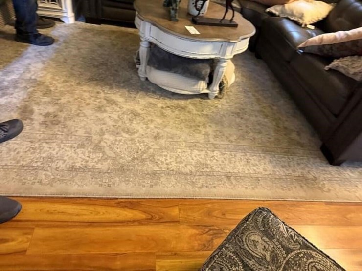 (3)-misc-rugs-image-5