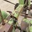 john-deere-l-image-20