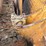 1992-caterpillar-d8n-image-151