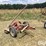 new-holland-455-image-3