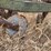 john-deere-pull-type-four-bottom-plow-image-24