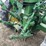 john-deere-530-image-40