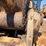 2010-caterpillar-328d-image-130