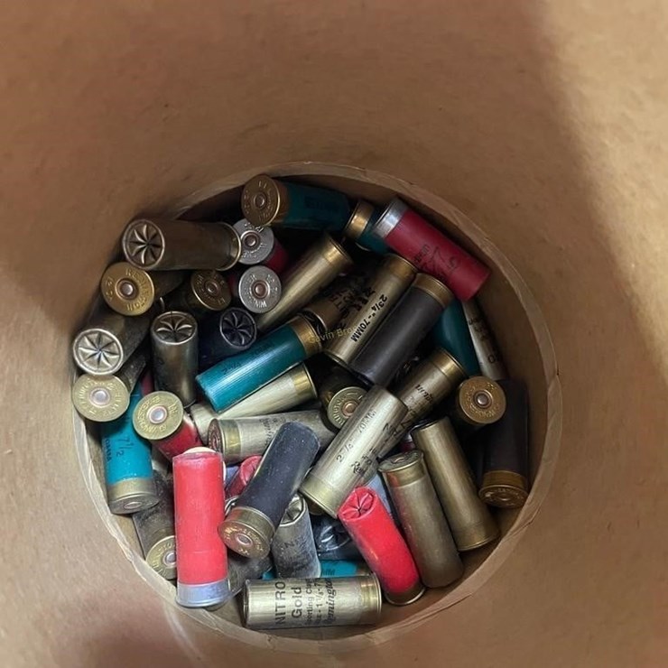 Misc 12ga Ammo