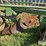 john-deere-5-image-17