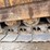 1985-caterpillar-963-image-85