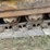 1983-caterpillar-973-image-109