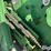 2010-john-deere-9670-sts-image-16