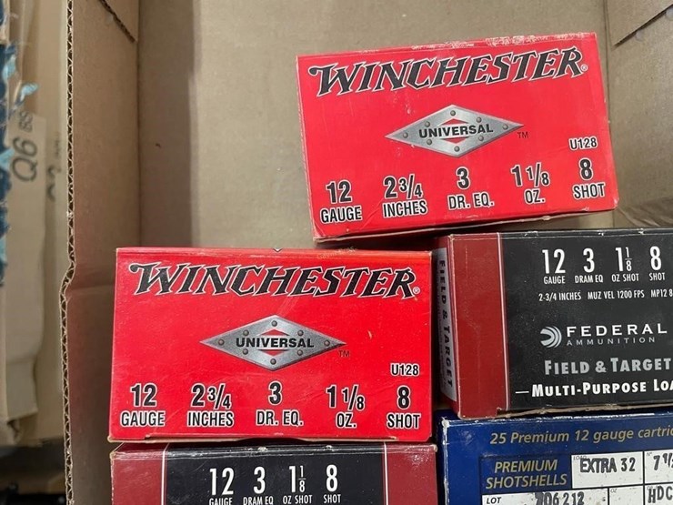 (6)-full-&-(1)-partial-12ga-ammo-image-2