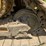 caterpillar-d6m-image-68