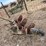 john-deere-three-bottom-three-point-plow-image-4