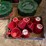 large-set-of-xmas-dishes-image-2