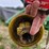 john-deere-260-image-10