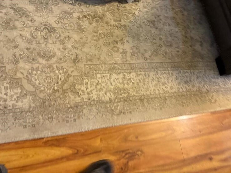 (3)-misc-rugs-image-9