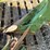 john-deere-no.-44-three-point-three-bottom-plow-image-26