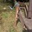 artsway-420-image-10