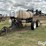 wylie-1000-image-1